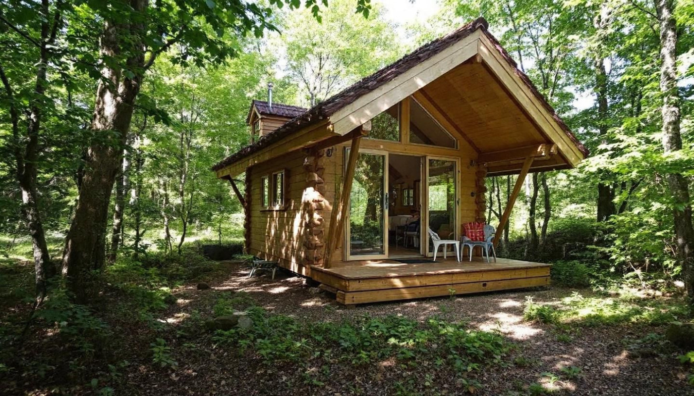 Éco-tourisme et hébergements alternatifs : l'attrait des cabanes dans les arbres